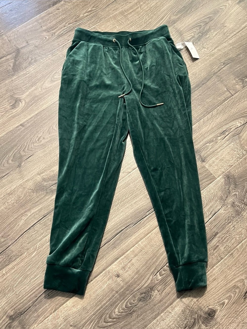 NWT Truth by Republic Women’s Velour Jogger Pants Size Medium Emerald Green